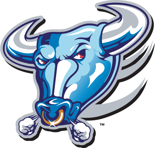 Buffalo Bulls 1997-2006 Alternate Logo iron on transfers for clothing